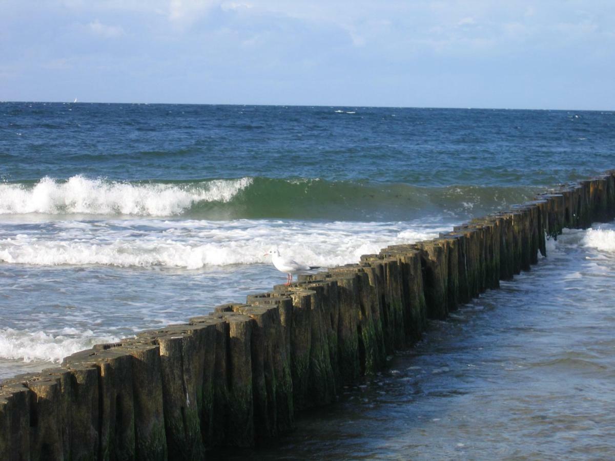 "Strand-Gut" Börgerende-Rethwisch Exteriér fotografie